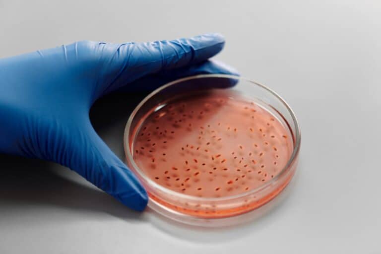 Wyposażenie laboratorium mikrobiologicznego