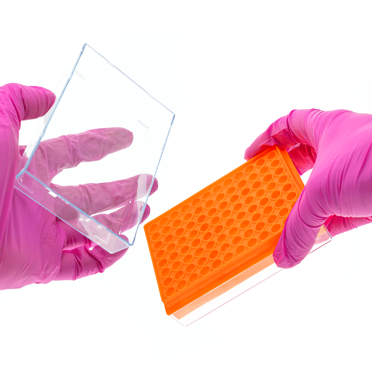 Statyw na probówki PCR 0,2 ml, 96 miejsc, pokrywka PC