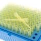 Końcówki do pipet automatycznych Biologix