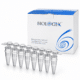 Probówki PCR 0,2 ml